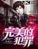 完美的犯罪