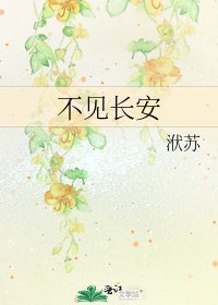 不见长安