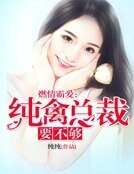燃情霸愛：純禽總裁要不夠